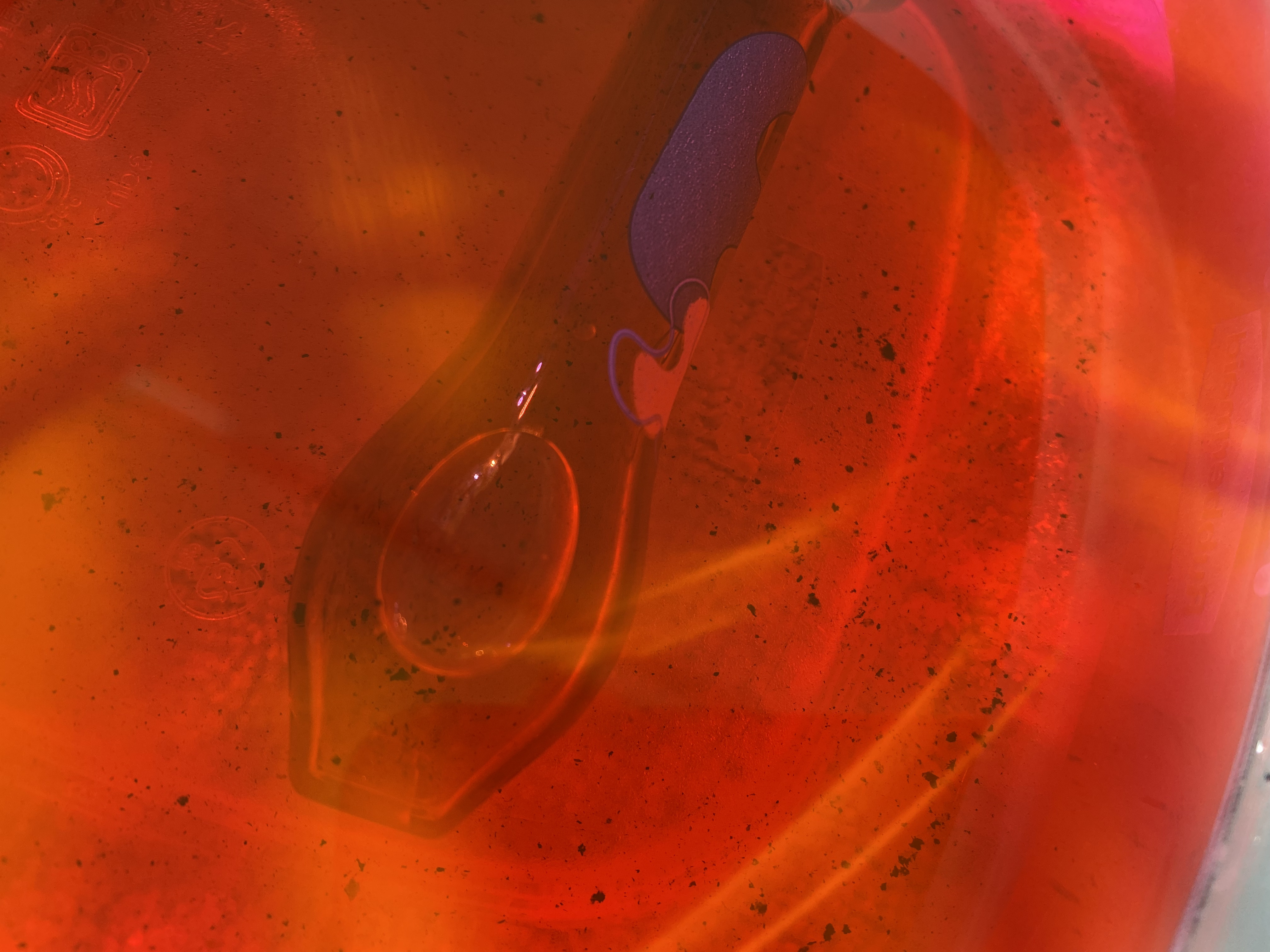 Gravity Orange